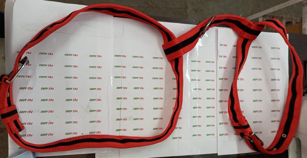 Red Body Belt 